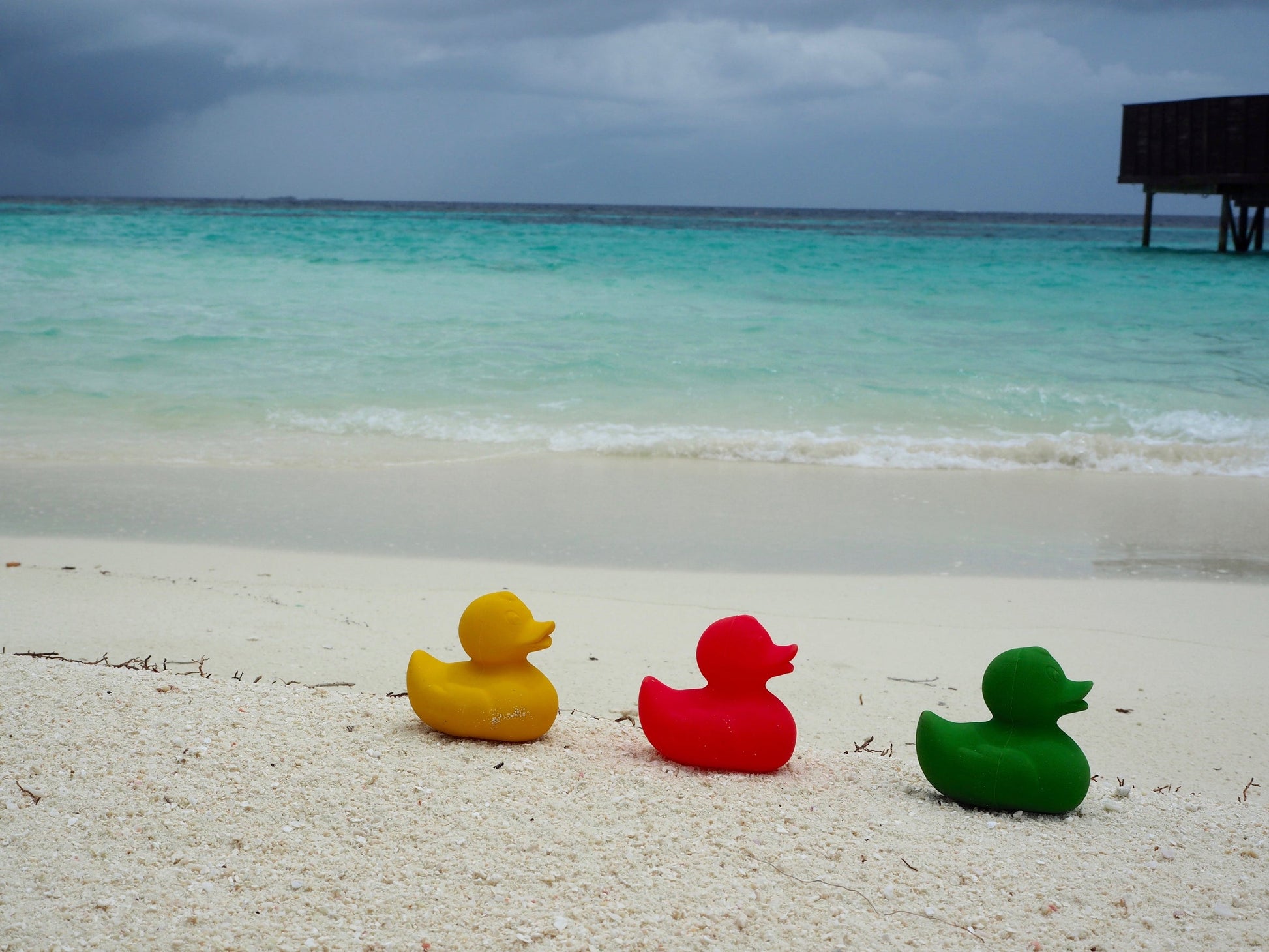 Produit Elvis Le Canard Vert Enfant