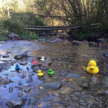 Elvis le canard vert