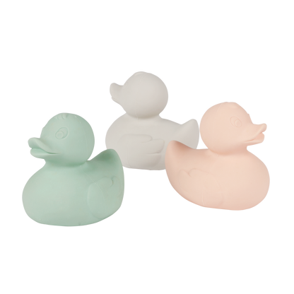 Produit Elvis Le Canard Gris Poster Déco