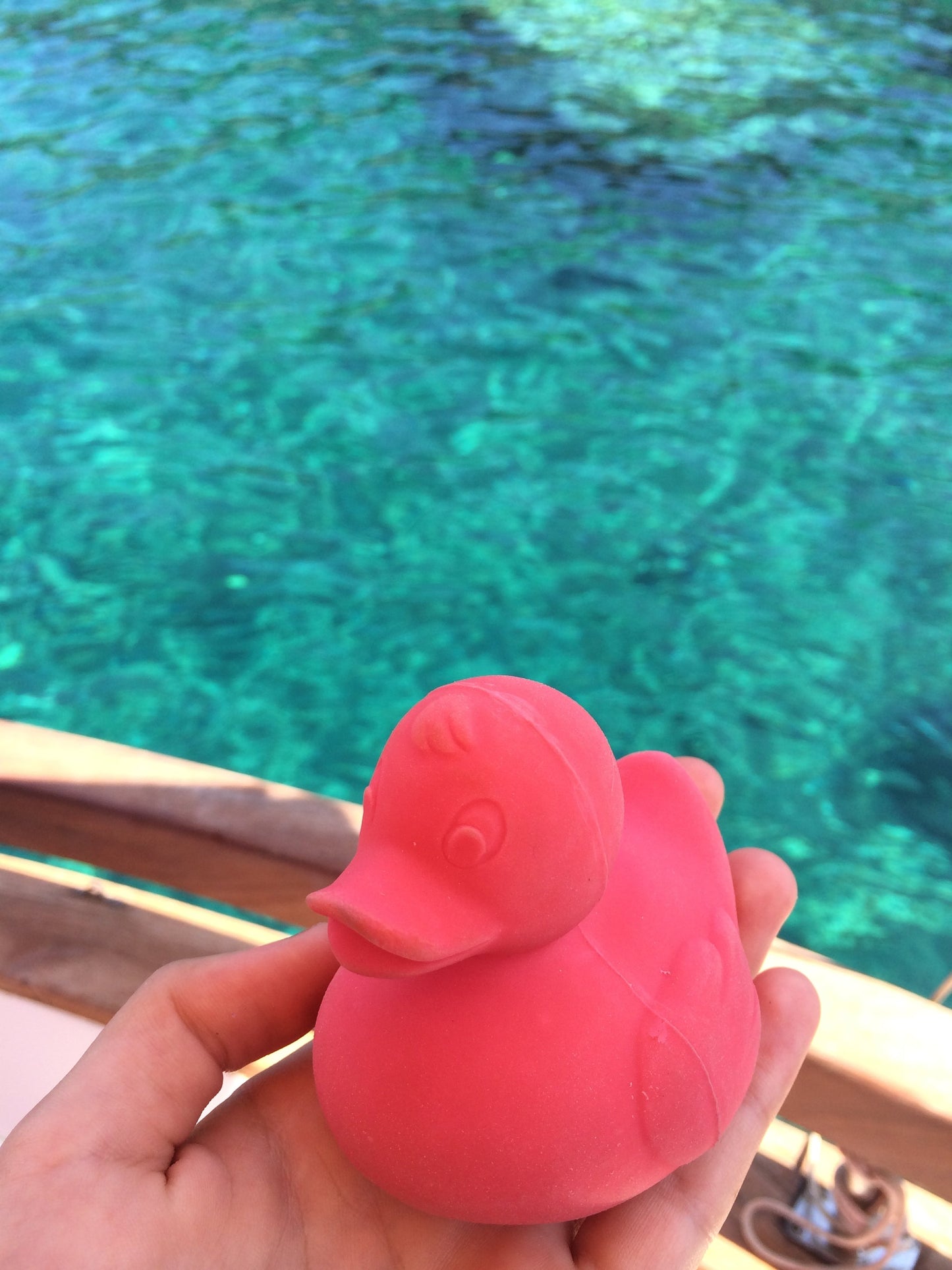 Elvis the Pink Duck