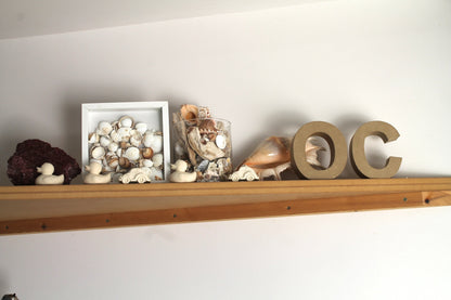 Produit Elvis Le Canard Blanc Accessoire