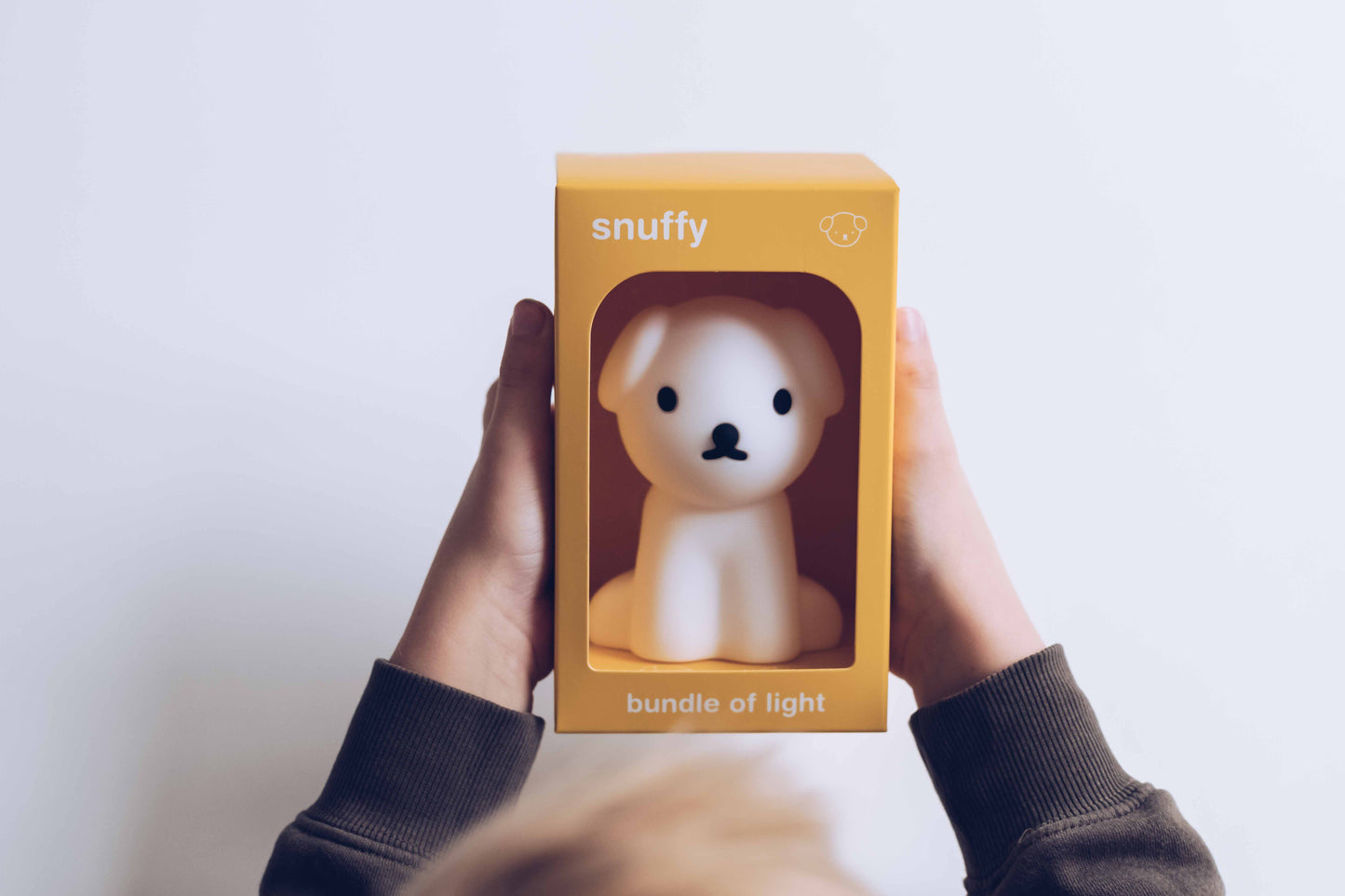 Bundle of Light Mini Night Light