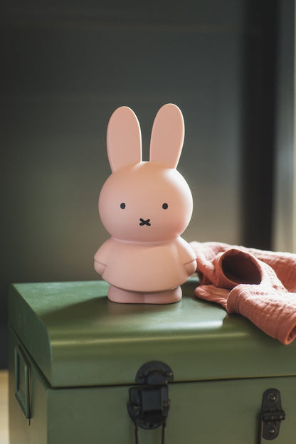Miffy Rabbit Money Box Warm Edition