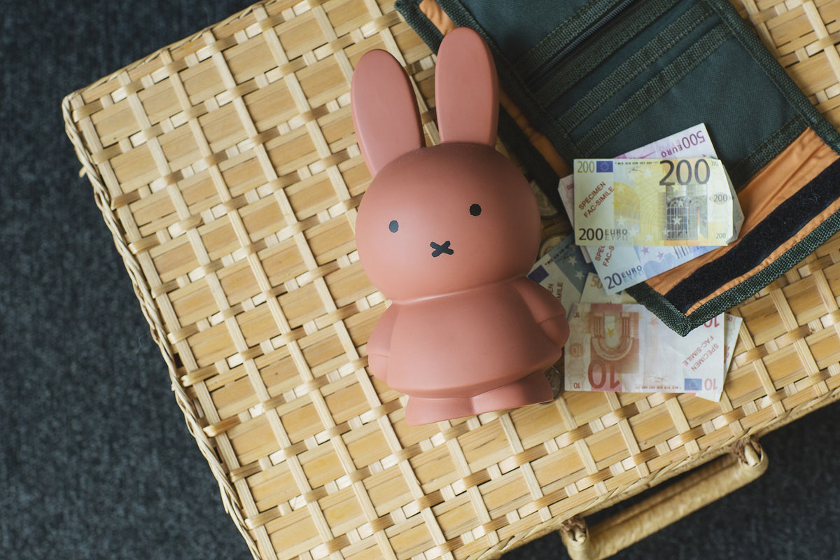 Miffy Rabbit Money Box Warm Edition