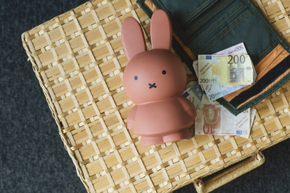 Miffy Rabbit Money Box Warm Edition