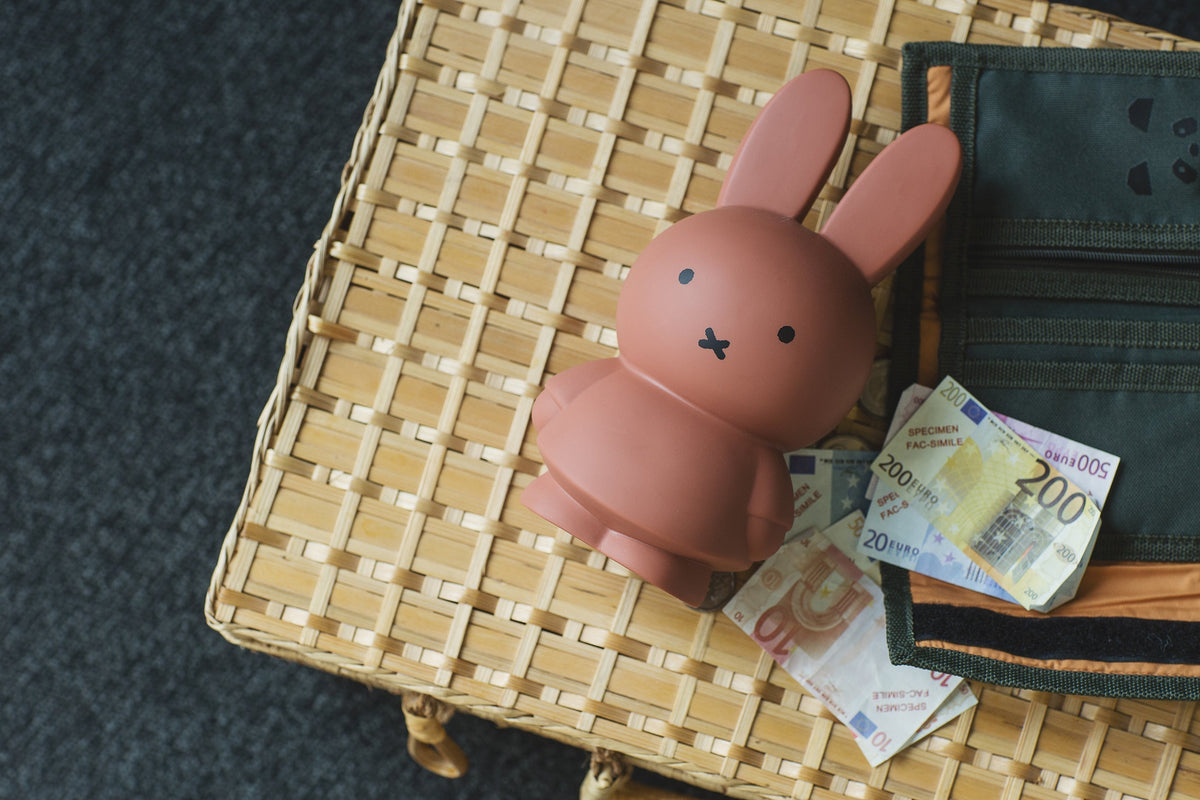 Miffy Rabbit Money Box Warm Edition