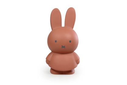 Miffy Rabbit Money Box Warm Edition