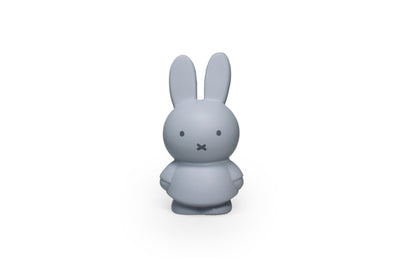 Tirelire Miffy Warm Edition S