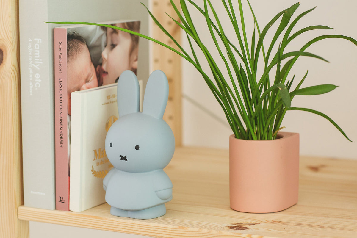 Miffy Rabbit Money Box Warm Edition