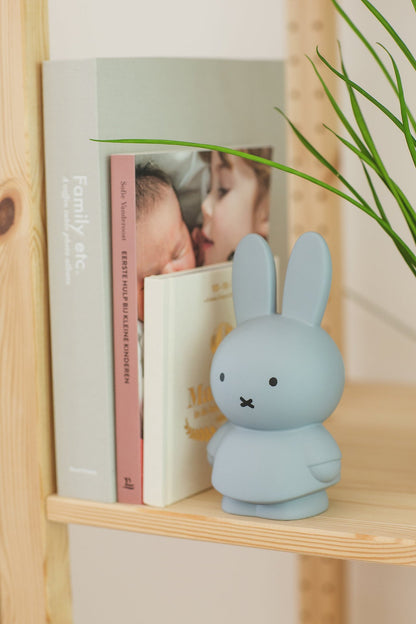Miffy Rabbit Money Box Warm Edition