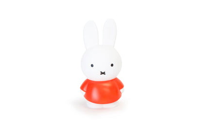 Miffy Rabbit Money Box M