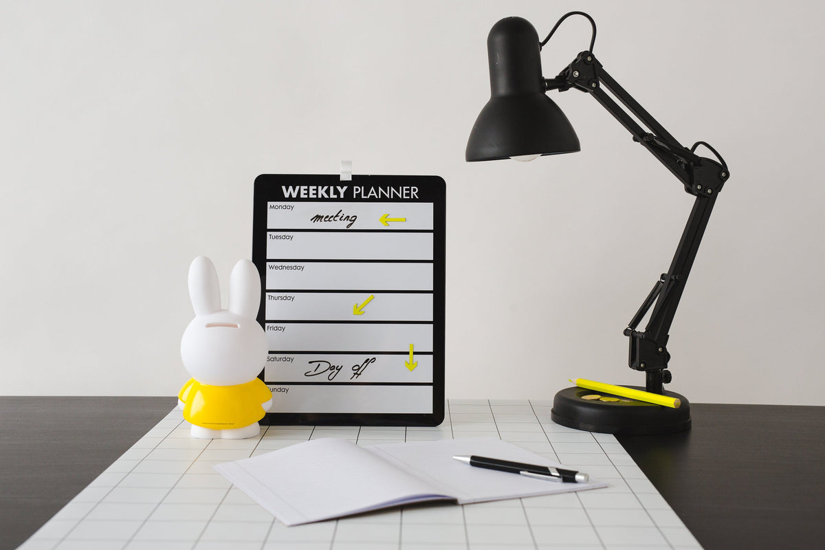 Miffy Rabbit Money Box M