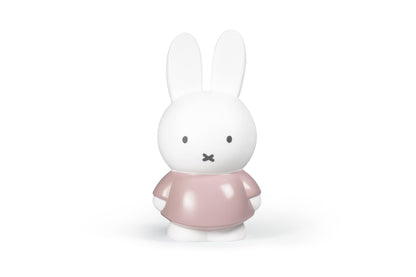 Miffy Rabbit Money Box M