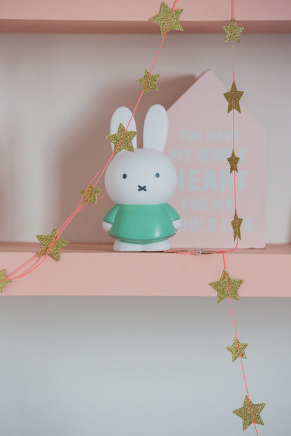 Miffy Rabbit Money Box M