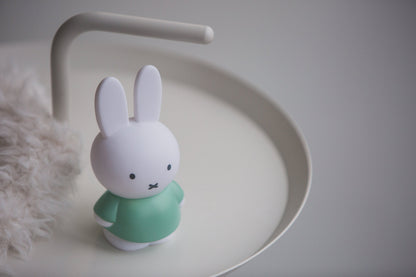 Miffy Rabbit Money Box M
