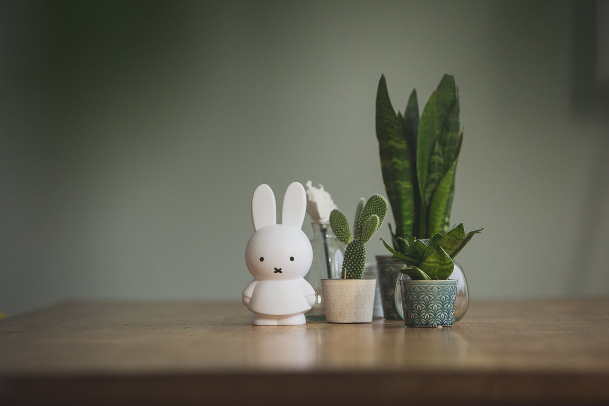 Miffy Rabbit Money Box S
