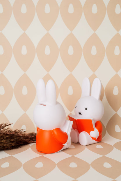 Miffy Rabbit Money Box Book