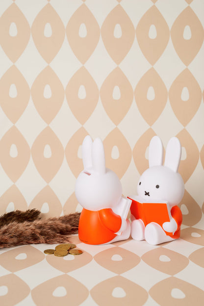 Miffy Rabbit Money Box Book