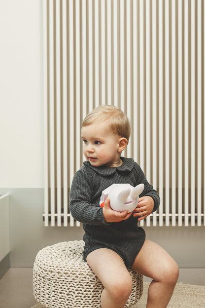 Miffy Rabbit Money Box Book