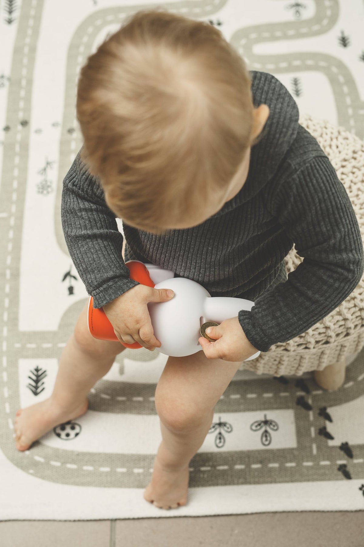 Miffy Rabbit Money Box Book