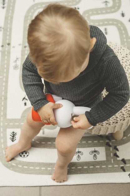 Miffy Rabbit Money Box Book