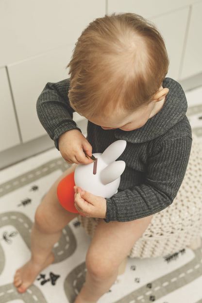 Miffy Rabbit Money Box Book