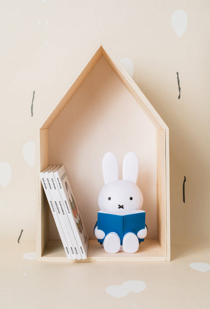 Miffy Rabbit Money Box Book
