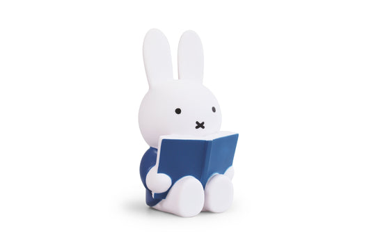 Miffy Rabbit Money Box Book