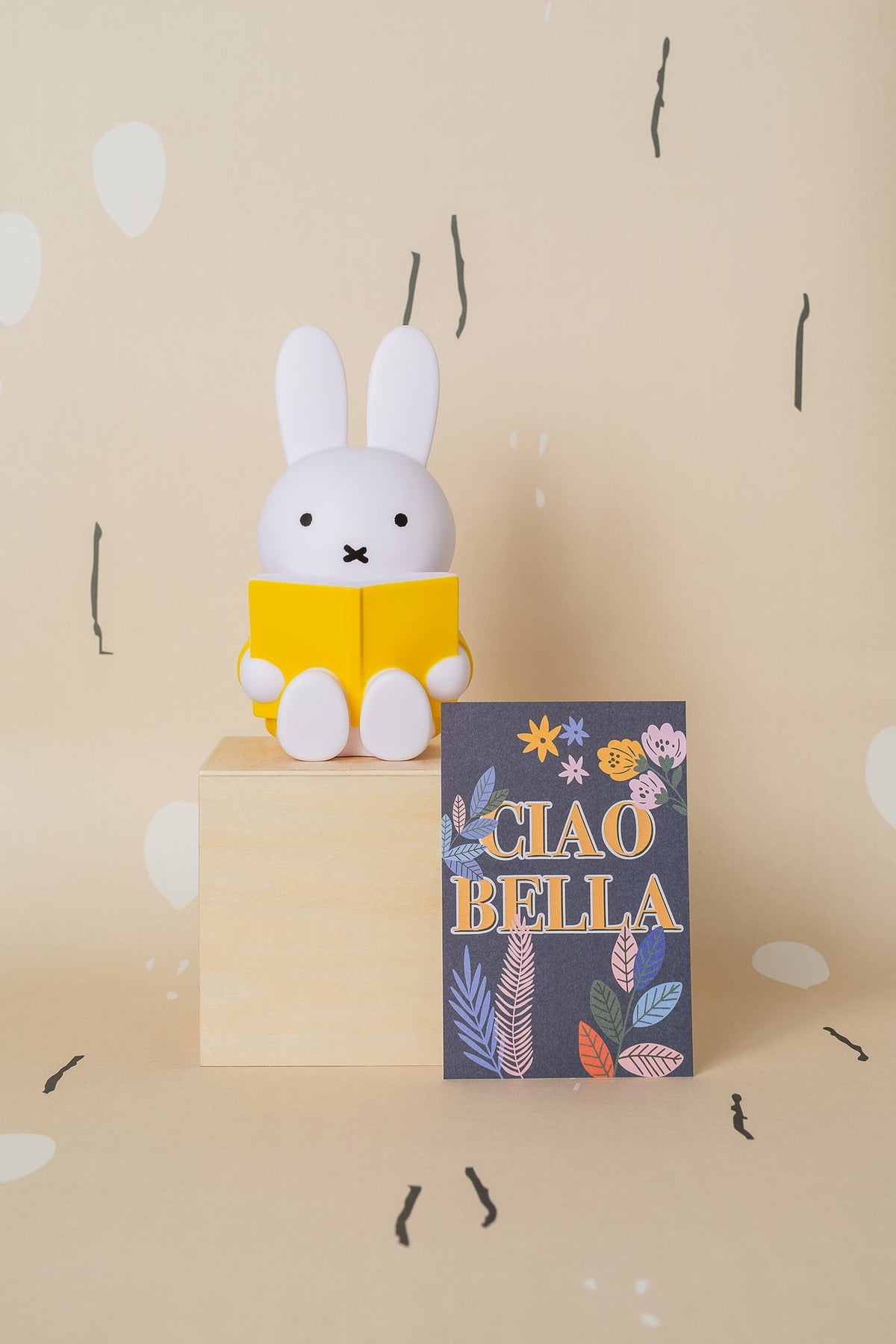 Miffy Rabbit Money Box Book
