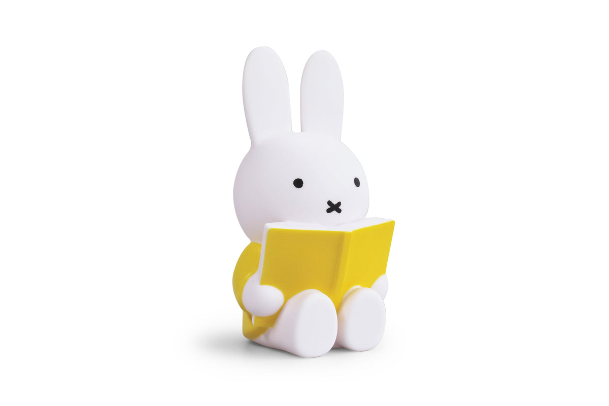 Miffy Rabbit Money Box Book