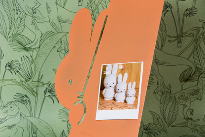 Tableau Magnétique Lapin Miffy - Peek a Boo