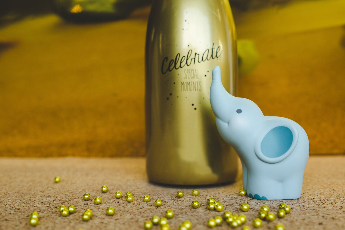Balthazar Piggy Bank