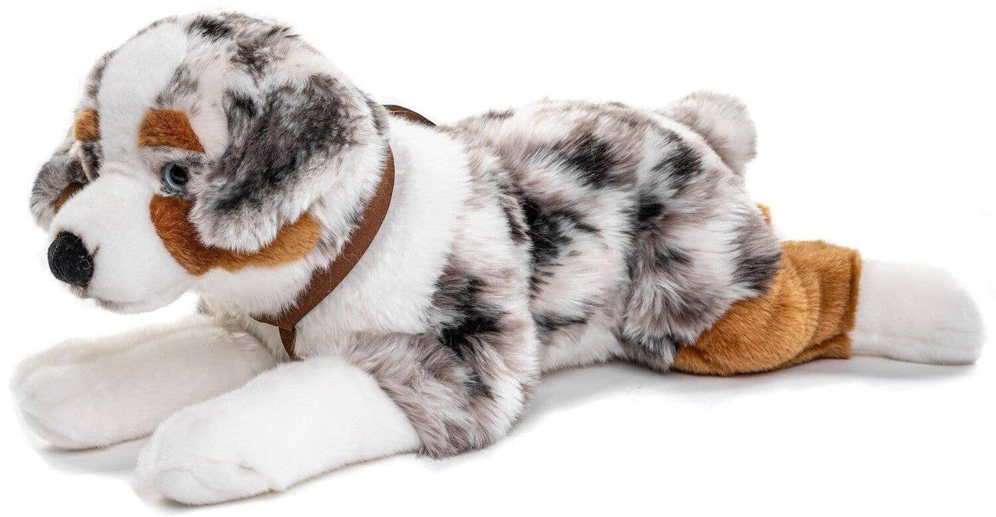 Australian Shepherd plush toy (with harness)