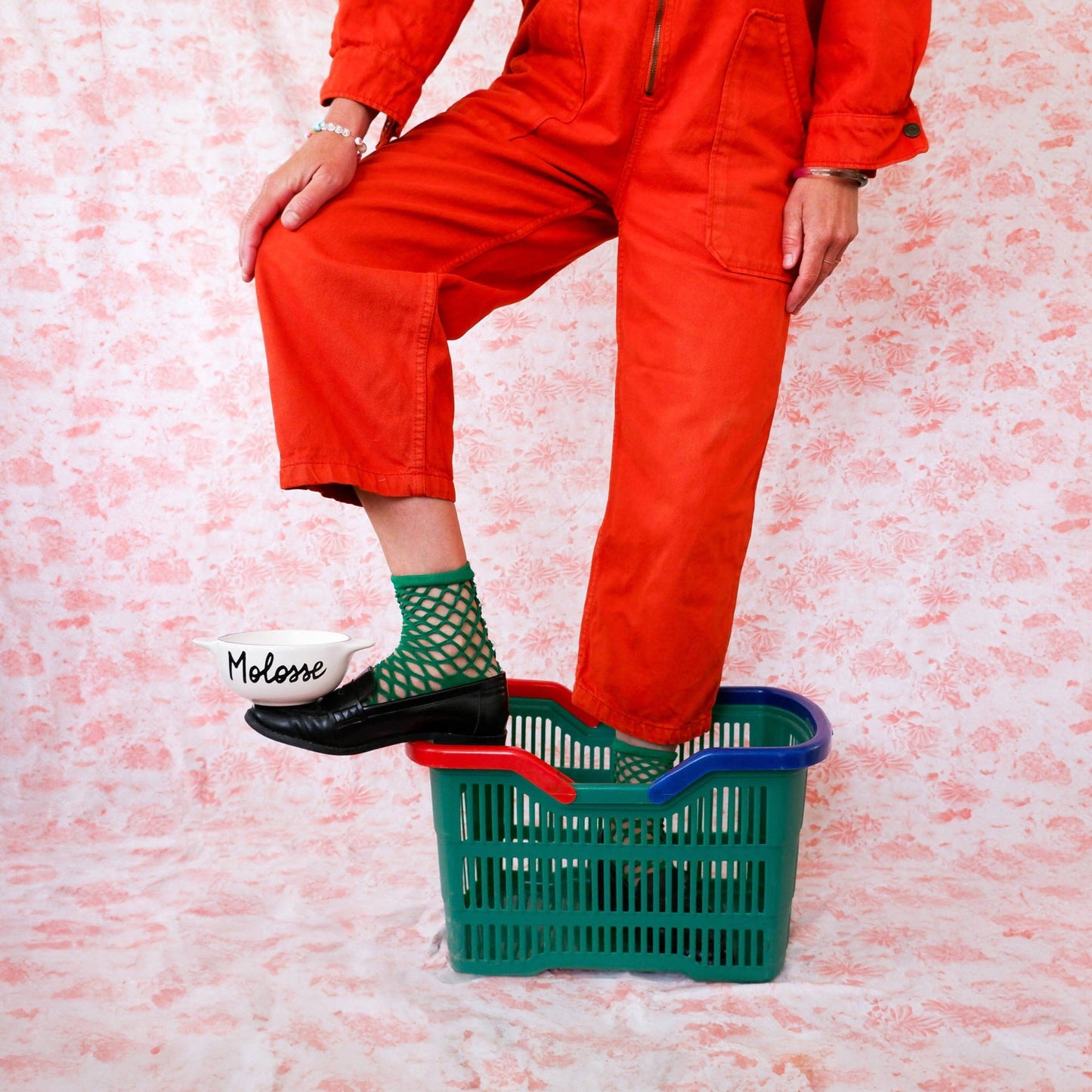 bol breton molossse pied de poule