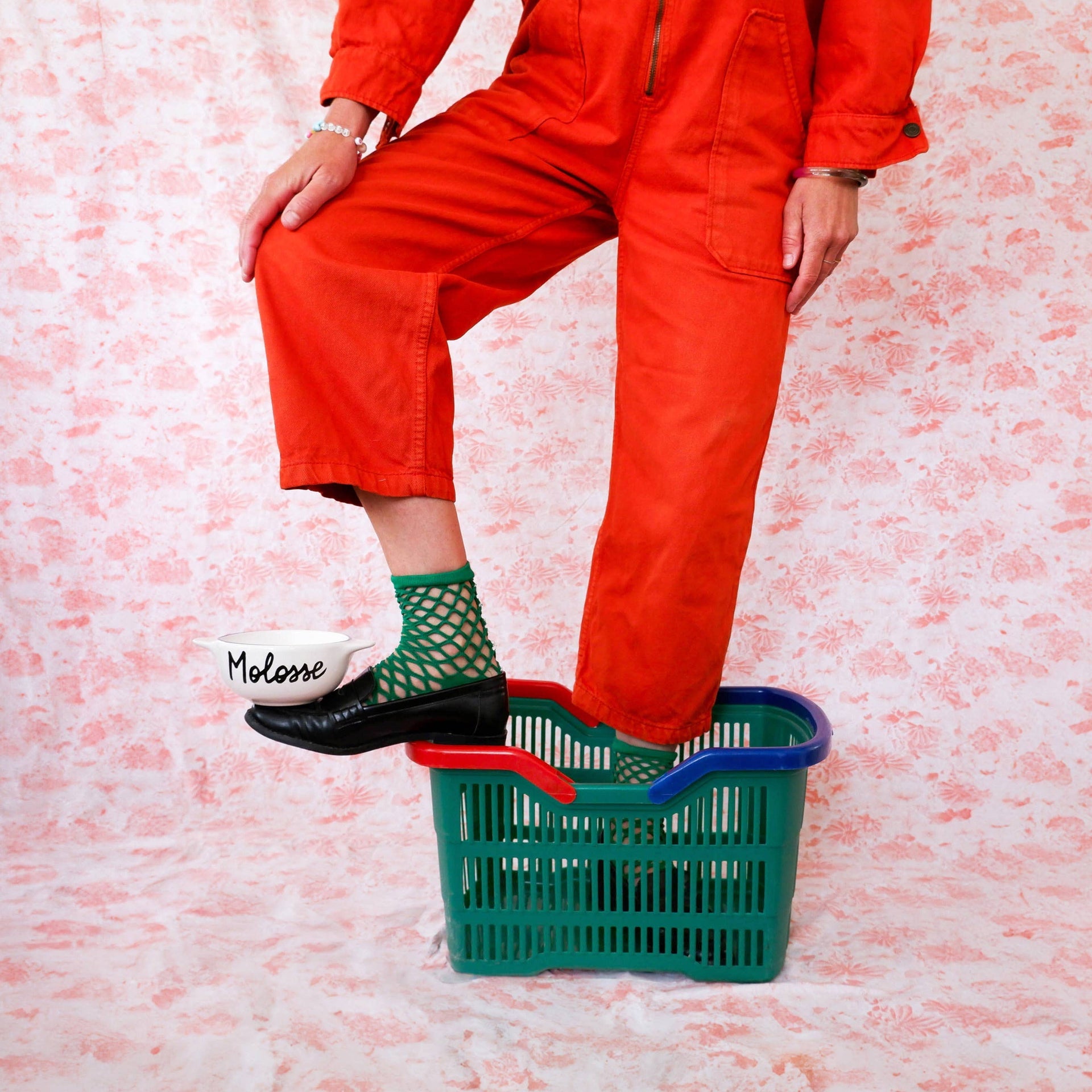 bol breton molossse pied de poule