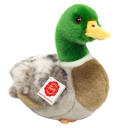 Peluche Canard Colvert