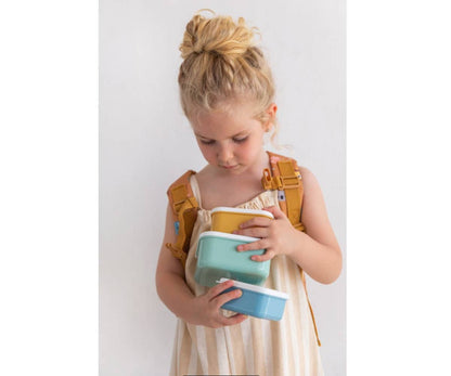 3 boites dejeuner animal friends