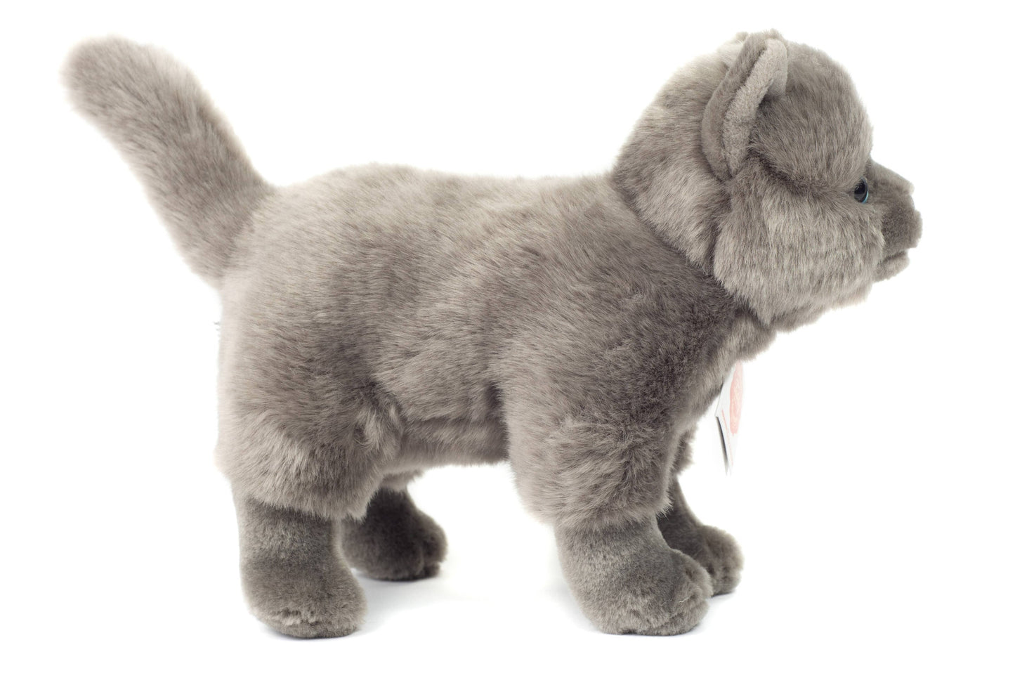 Standing Chartreux Cat Plush Toy