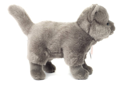Standing Chartreux Cat Plush Toy