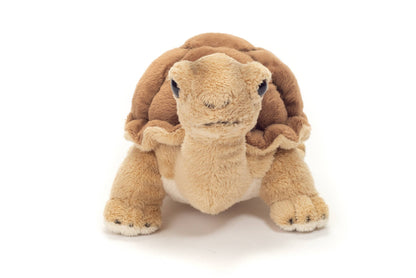 Turtle Plush
