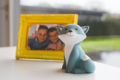 Money box Cesar L