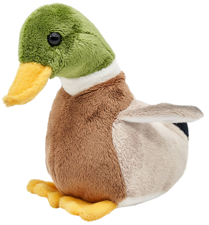 Mallard Duck Plush