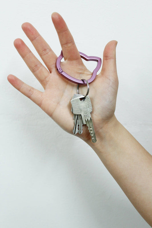 Pink and turquoise Cats carabiner set