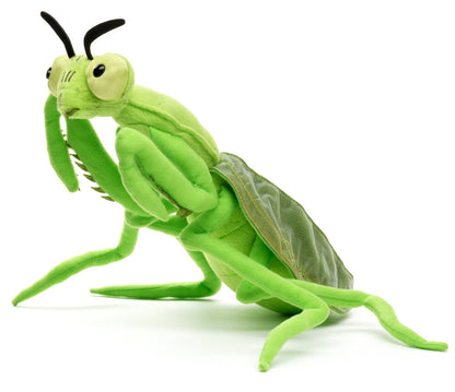 Praying Mantis Plush Toy
