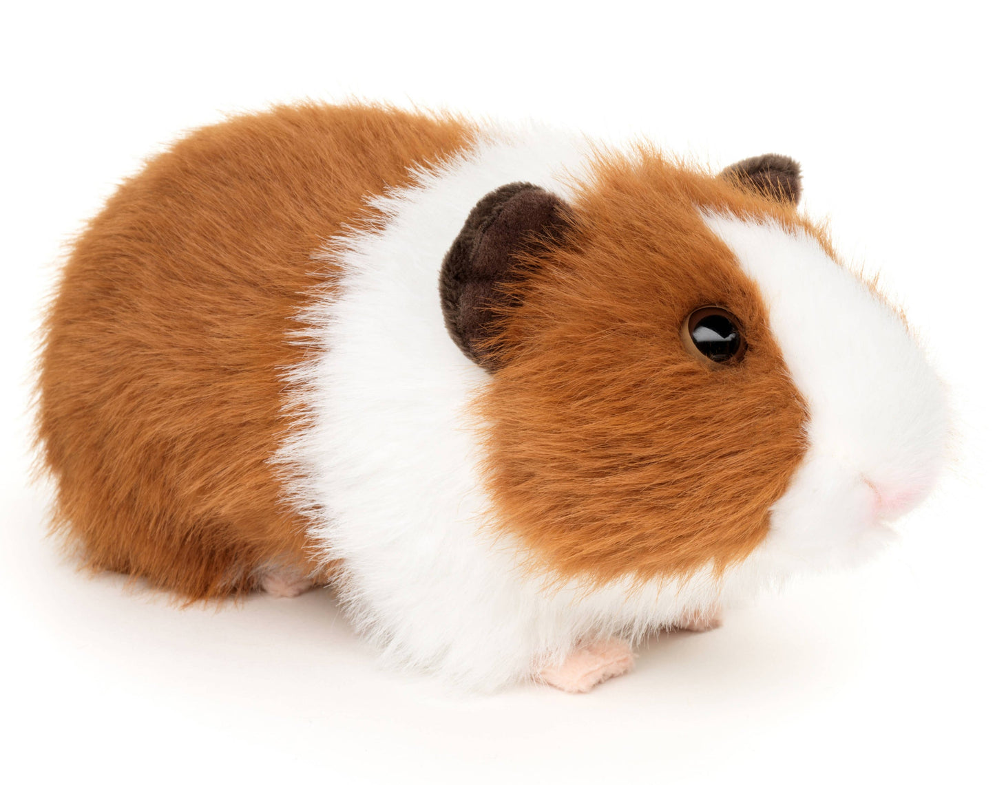 Guinea Pig Plush Toy (brown)