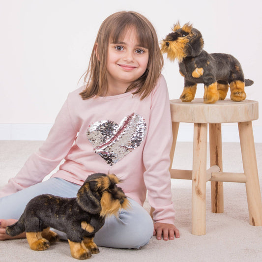 Plush Dachshund with Standing Hair