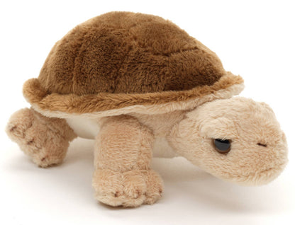 Turtle Plush