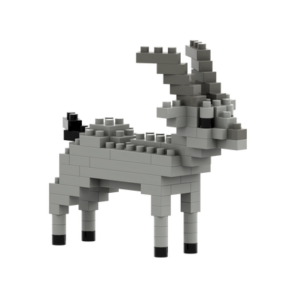 BRIXIES Capricorn