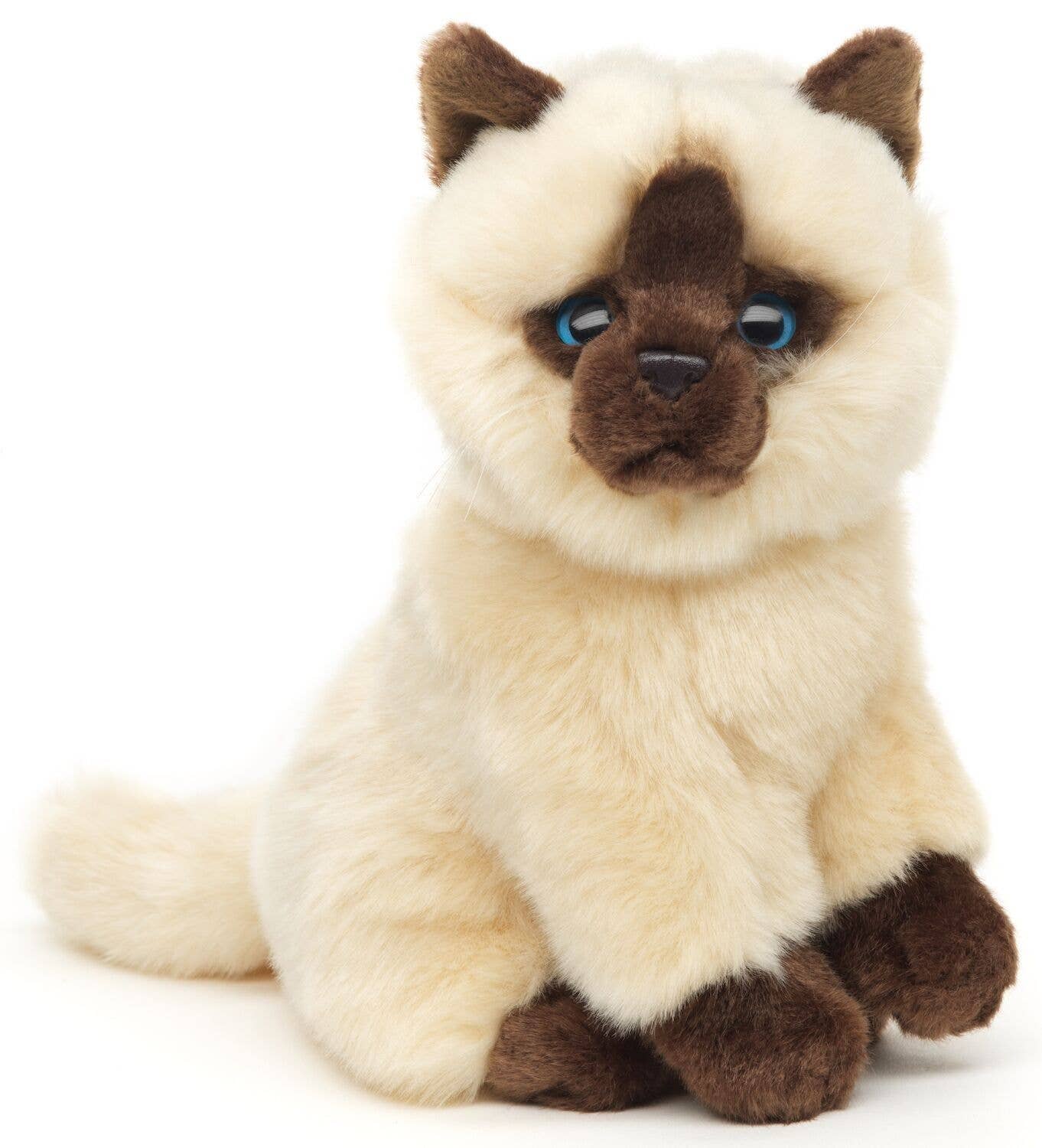 Siamese Cat Plush Toy - Beige