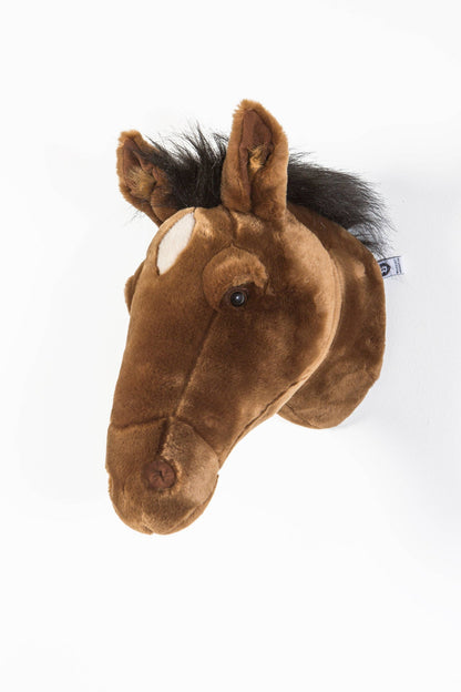 Scarlett the brown horse